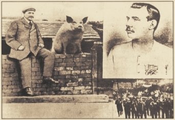 Dawley Pig on the wall postcard