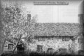 sedgley_brownswall_farm
