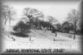 sledging_near_southerndown_road_sedgley